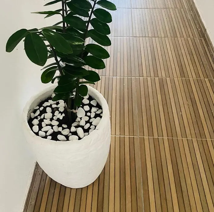 Novo Apartamento Liz 3-1